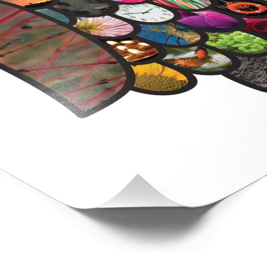 Patchwork Owl Fotodruck (Ecke)