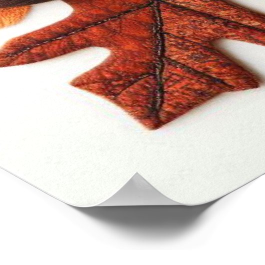 Patchwork Pumpkin Poster (Ecke)