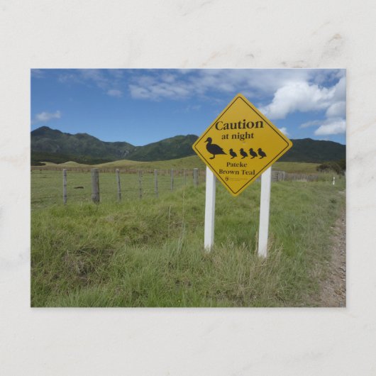 Pateke Signe Postkarte 3 (Vorderseite)