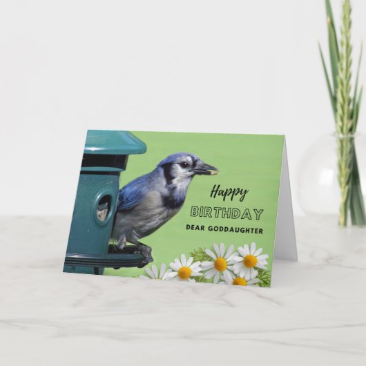 Patentochter Geburtstag Blauhäher am Vogelfutterha Karte (Vorderseite)