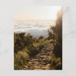 Path above the clouds with golden sunrise, Madeira Postkarte