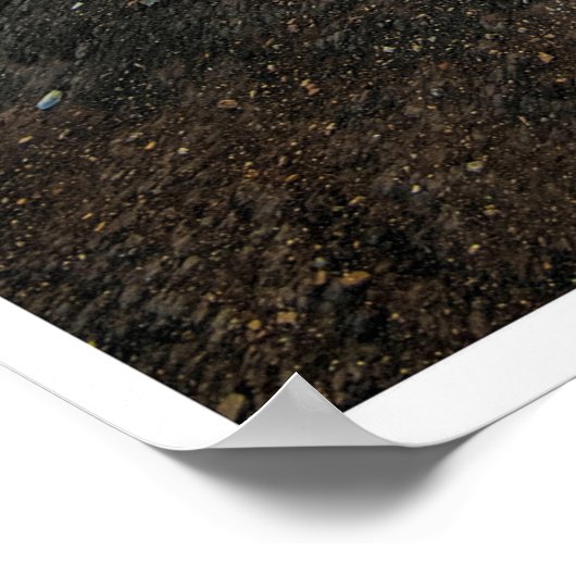 Path Toward the Light Poster (Ecke)