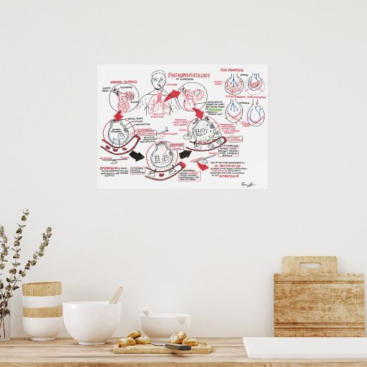 Pathophysiologie des Emphysemas Poster (Küche)