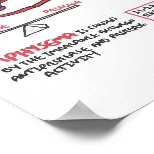 Pathophysiologie des Emphysemas Poster (Ecke)