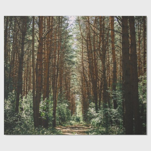 PATHWAY IM WALD GESCHENKPAPIER (Flach)