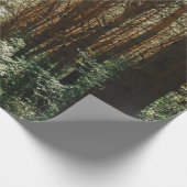 PATHWAY IM WALD GESCHENKPAPIER (Ecke)