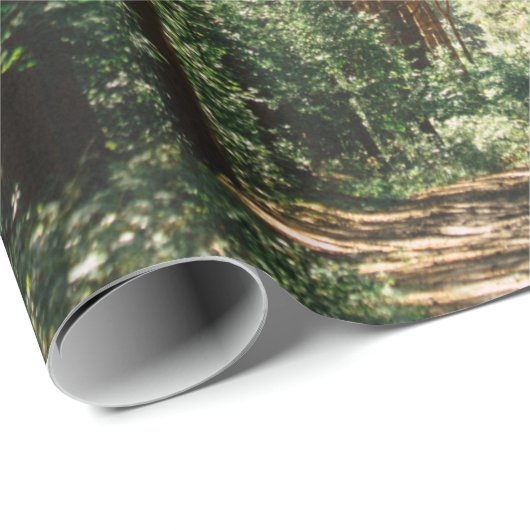 PATHWAY IM WALD GESCHENKPAPIER (Rolleneckpunkt)