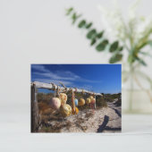 Pathway to the Beach - Dongara - Western Australia Postkarte (Stehend Vorderseite)