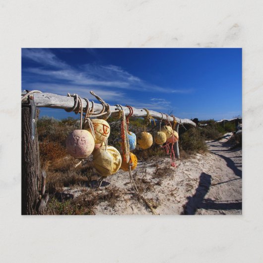 Pathway to the Beach - Dongara - Western Australia Postkarte (Vorderseite)