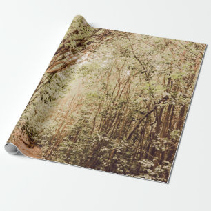 PATHWAY UMGEBEN VON GROSSEN UND GRÜNEN BÄUMEN GESCHENKPAPIER