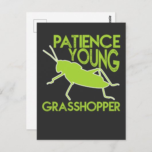 Patience Young Grasshopper Funny Novelty Postkarte (Vorne/Hinten)