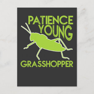 Patience Young Grasshopper Funny Novelty Postkarte