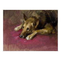 Patient Deutscher Schäferhund von Marino Lenci