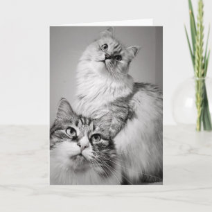 Patient zum Kuchen gewartet (Geburtstag des Mitarb Karte