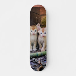 Patineta Dos Gaticos Hermanos Atentos Skateboard