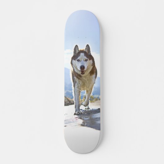 Patineta Enérgico Husky Siberiano Caminando Skateboard (Vorne)