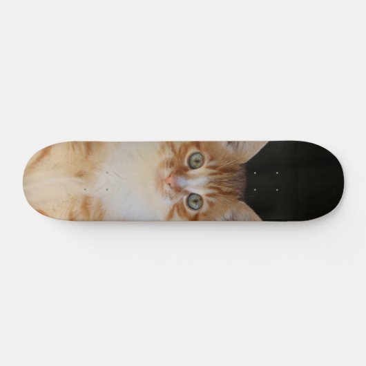 Patineta Gato amarillo Y Blanco Atento Skateboard (Horizontal)