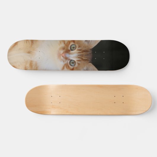 Patineta Gato amarillo Y Blanco Atento Skateboard (Horizontal)