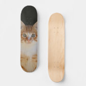 Patineta Gato amarillo Y Blanco Atento Skateboard (Vorderseite)