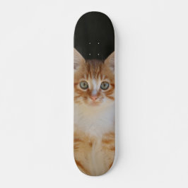 Patineta Gato amarillo Y Blanco Atento Skateboard