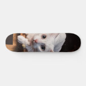 Patineta Gato Blanco Montado En Una Silla Skateboard (Horizontal)