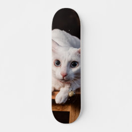 Patineta Gato Blanco Montado En Una Silla Skateboard