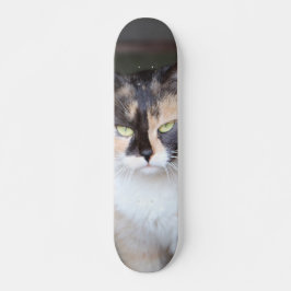 Patineta Gato De Tres Colores Diferentes Skateboard