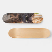 Patineta Gato Negro Caminando Cauteloso Skateboard (Horizontal)