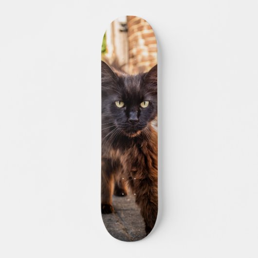 Patineta Gato Negro Caminando Cauteloso Skateboard (Vorne)