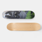 Patineta Gato Negro Con Patas Blancas Skateboard (Horizontal)