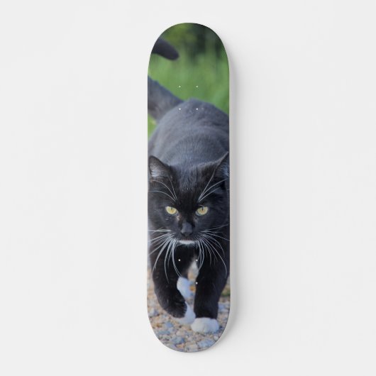 Patineta Gato Negro Con Patas Blancas Skateboard (Vorne)