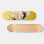 Patineta Gato Persa Caminando Skateboard (Horizontal)