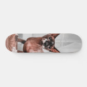 Patineta Gato Raza Esfinge Skateboard (Horizontal)