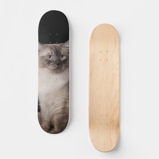 Patineta Gato Siberiano Observando Skateboard (Vorderseite)