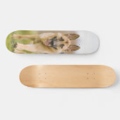 Patineta Pastor Alemán Corriendo En El Campo Skateboard (Horizontal)