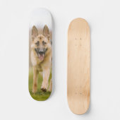 Patineta Pastor Alemán Corriendo En El Campo Skateboard (Vorderseite)