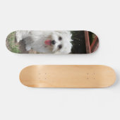 Patineta Perro Pequeño Blanco Y Peludo Skateboard (Horizontal)