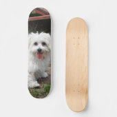 Patineta Perro Pequeño Blanco Y Peludo Skateboard (Vorderseite)