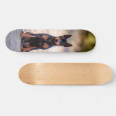 Patineta Perro Pinscher Miniatura Sentado Skateboard (Horizontal)