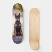 Patineta Perro Pinscher Miniatura Sentado Skateboard (Vorderseite)
