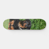 Patineta Perro Rottweiler Vigilando En El Jardín Skateboard (Horizontal)