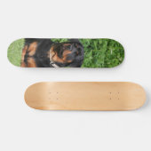 Patineta Perro Rottweiler Vigilando En El Jardín Skateboard (Horizontal)