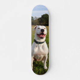 Patineta Pitbull Blanco Sentado En El Campo Skateboard