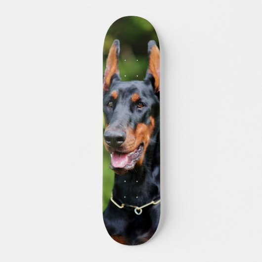Patineta Poderoso Y Enérgico Perro Dóberman Skateboard (Vorne)