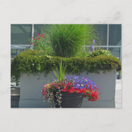 Patio-Anzeige von 2013 Blume Postkarte