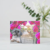 Patio Café Postcard Postkarte (Stehend Vorderseite)