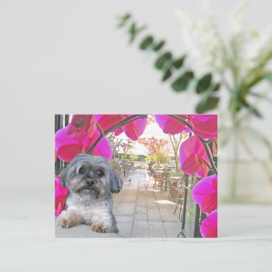 Patio Café Postcard Postkarte (Stehend Vorderseite)