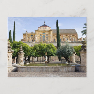 Patio de los Naranjos am Mezquita in Cordoba Postkarte