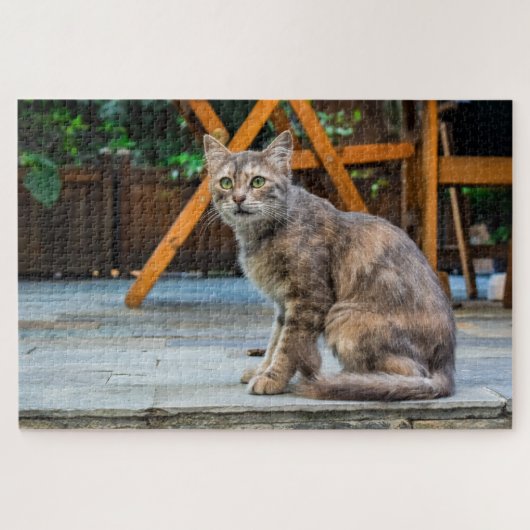Patio-Katzenpuzzle Puzzle (Horizontal)