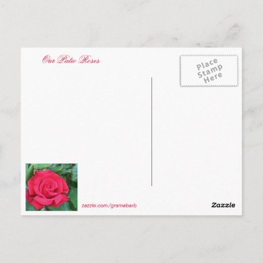 Patio-Rose Postkarte (Rückseite)